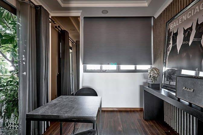 Hình ảnh Khai Trương Penthouse Siêu Xịn Gần Công Viên Lê Thị Riêng