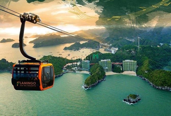 Hình ảnh Bán đất tái định cư xã Nghĩa Lộ, huyện Cát Hải, Hải Phòng