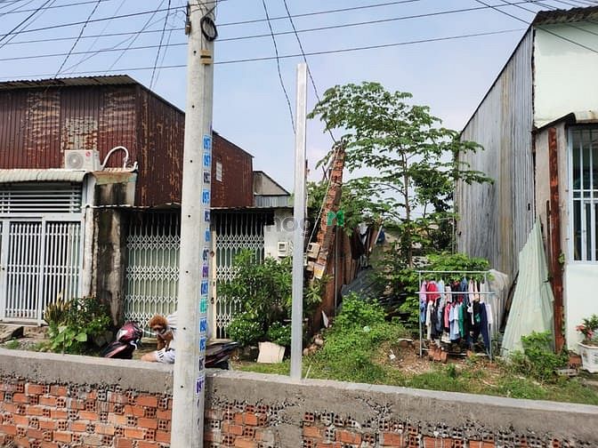 Hình ảnh Mình cần bán gấp đất bình chánh