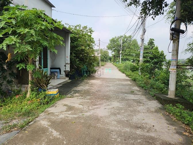 Hình ảnh Mình cần bán gấp đất bình chánh