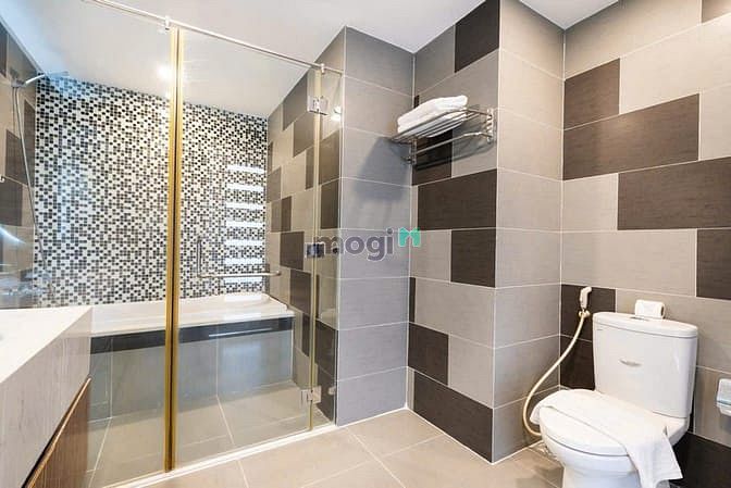 Hình ảnh Chính chủ cần cho thuê CH DUPLEX STARHILL 3PN Dt.151m2 full nt cao câp