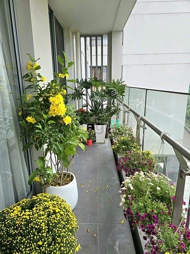 Hình ảnh Cho thuê green valley, PMH, Quận 7 dt 120m2