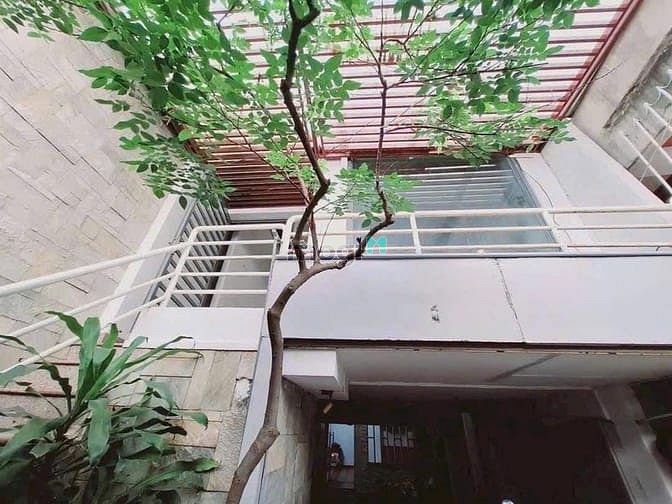 Hình ảnh 𝐊𝐇𝐔 𝐏𝐇𝐀𝐍 𝐗Í𝐂𝐇 𝐋𝐎𝐍𝐆 𝐍𝐆𝐀𝐍𝐆 𝟓𝐌 𝐂Ù 𝐋𝐀𝐎🌿𝐂Ó 𝐒Â𝐍