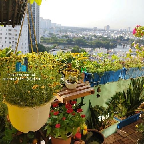 Hình ảnh Cho thuê chung cư Vạn Đô - 50m2 1pn1wc - Full nội thất