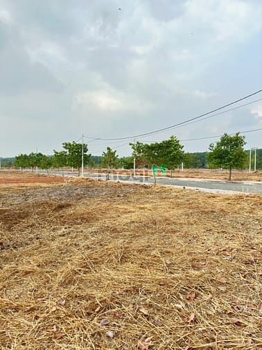 Hình ảnh Đất đẹp giá tốt, vị trí đắc địa, 80-100m2, sổ hồng riêng lâu dài