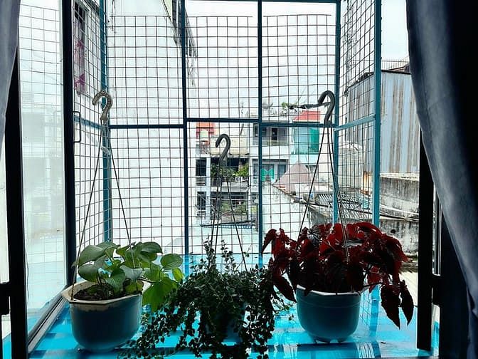 Hình ảnh 🎉Siêu Phẩm Duplex 2 Không Gian Ngủ, Cửa Sổ Lớn Tại Bình Thạnh 🎊