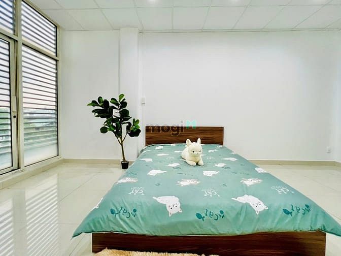 Hình ảnh Cho thuê Trang Chủ MB66.COM / Đăng Ký Tặng 66K full nội thất ngay Âu Cơ quận Tân Bình