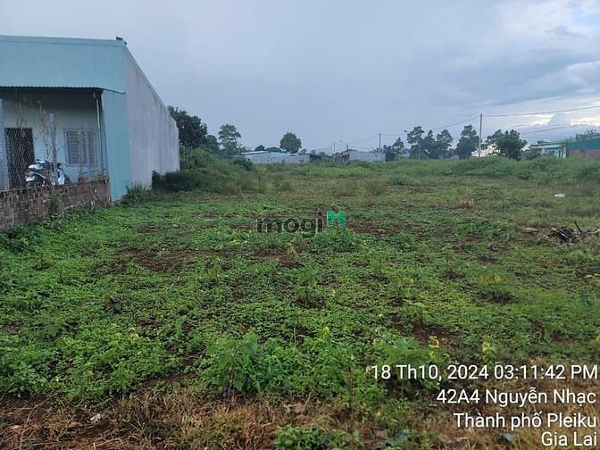 Hình ảnh Đất full thổ cư 10x30 Lê Văn Hưu, liền kề trường học Bùi Thị Xuân