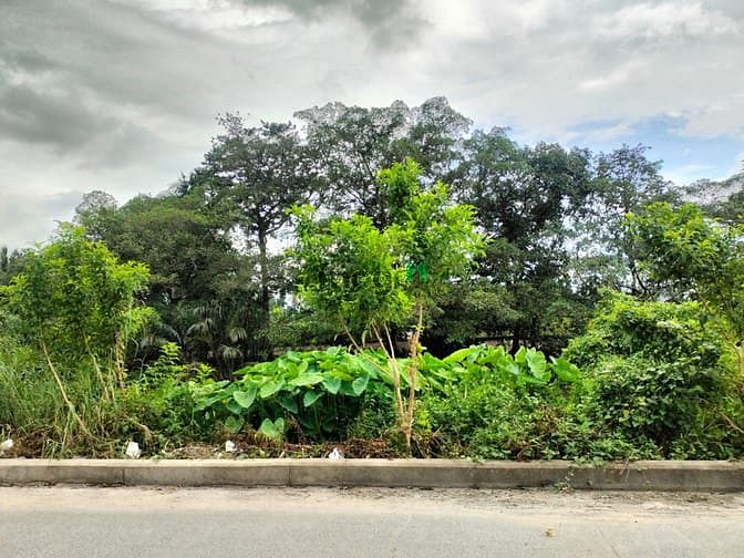 Hình ảnh Cho thuê đất trống mt view sông TL 37 đường đẹp