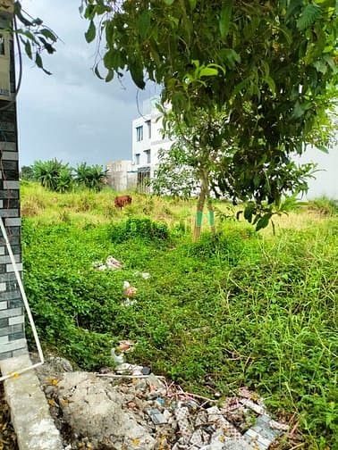 Hình ảnh Cho thuê đất trống mt view sông TL 37 đường đẹp