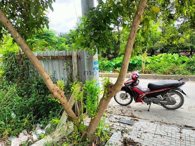 Hình ảnh Cho thuê đất trống mt view sông TL 37 đường đẹp