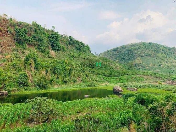 Hình ảnh ĐẤT NỀN ĐÀ LẠT 11.887,6 m2 đã CÓ SỔ + TẶNG kèm 6000m2 ven suối