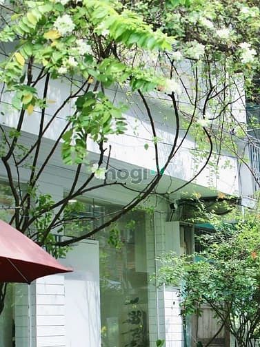 Hình ảnh 𝐊𝐡𝐮 𝐯ự𝐜 𝐁ế𝐧 𝐍𝐠𝐡é 🌿𝐍𝐠𝐚𝐧𝐠 𝟏𝟎𝐌 🌸
