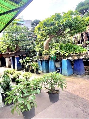Hình ảnh nhà 2 tầng cũ, ngang to 10m,xây biệt thự, hẻm 6m ngay phan huy ích, 13