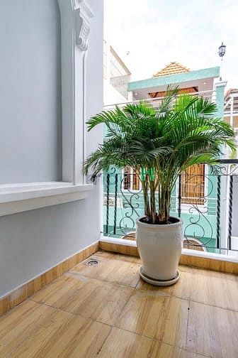 Hình ảnh 🏖️ SIÊU THOÁNG SÁNG ➖ Full Option máy giặt riêng 💠Thang máy - balcon