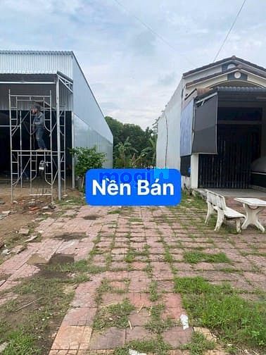 Hình ảnh Nền đẹp mặt tiền Trần Bạch Đằng khu ĐH.Y Dược Cần Thơ - 9 tỷ