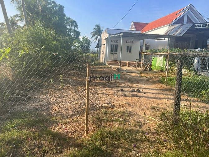 Hình ảnh Gia đình cần bán lô đất thôn Lạc An, Ninh Thọ, Ninh Hòa, Khánh Hòa