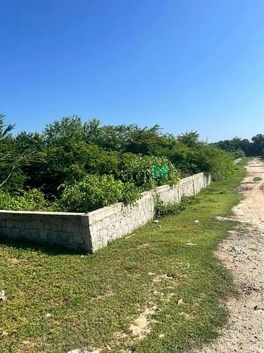 Hình ảnh - Bình thuận: cắt lỗ 4888m2 đất mặt tiền biển đồi.