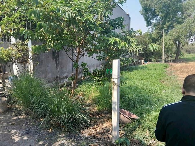 Hình ảnh Đất bán 1 sẹc Gò Hưu 5x22m, sổ hồng riêng Mỹ hạnh Nam 850tr