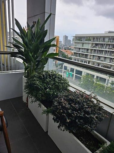 Hình ảnh Cho thuê Gardencuort 1, PMH, Q7 dt 144m2 view kênh đào