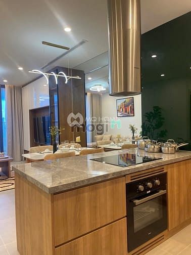 Hình ảnh Cho thuê Trang Chủ MB66.COM / Đăng Ký Tặng 66K 2 phòng ngủ SAM TOWER view sông