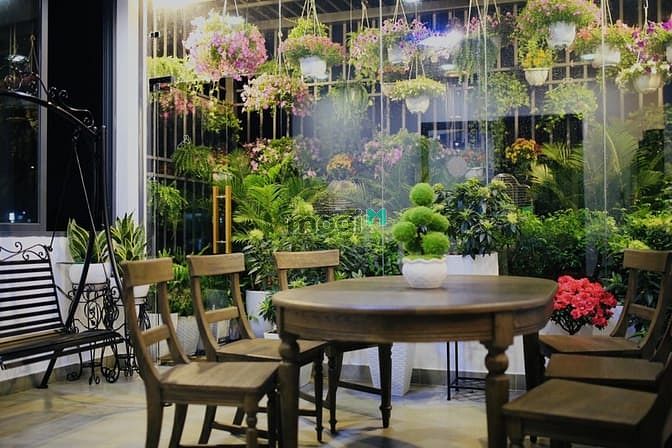 Hình ảnh Biệt thự Tân Bình, 107m2 nở hậu 5,7m, 4 Tầng, giá 12,9Tỷ.