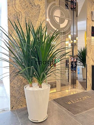 Hình ảnh Mb6623 nạp rút nhanh chóng Studio cửa sổ gần 45m2 gần CV Lê Thị Riêng