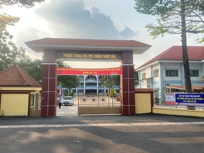 Hình ảnh Nhượng gấp 4.981m2 đất XÃ PHƯỚC HÒA, PHÚ GIÁO, Bình Dương, SHR, CC