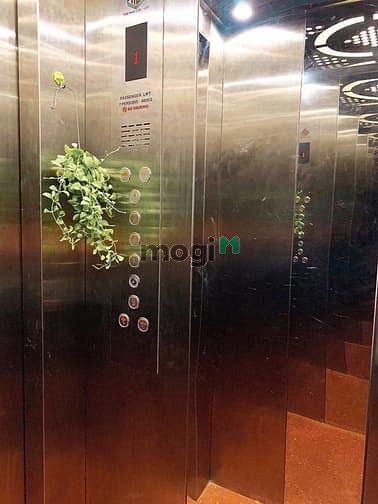 Hình ảnh Phòng studio cửa sổ lớn cho thuê gần ĐH Văn Hiến Tân Phú