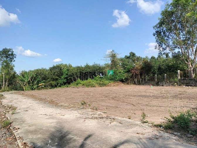 Hình ảnh Đất sào, giá rẻ, đủ điều kiện tách nền