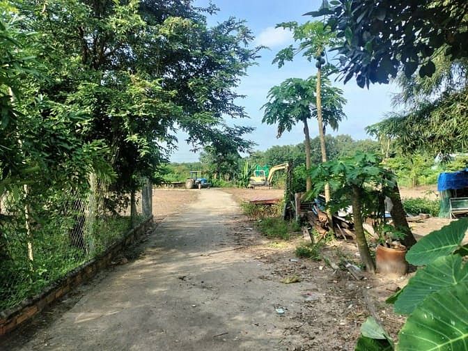Hình ảnh Đất sào, giá rẻ, đủ điều kiện tách nền