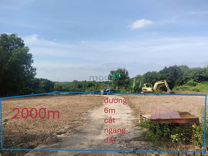 Hình ảnh Đất sào, giá rẻ, đủ điều kiện tách nền