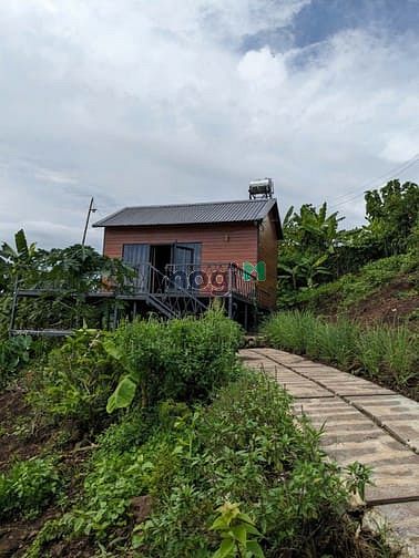 Hình ảnh Đất Ngộp Lô Góc Dầu Giây - 150m2 Thổ Cư, Giá Chỉ 700 Triệu!