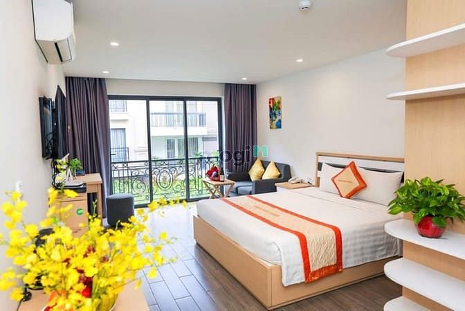 Hình ảnh STUDIO full nội thất gần Crescent Mall , chợ Tân Mỹ