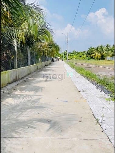 Hình ảnh Bán đất thổ cư 100m2 giá 650tr tại Đạo Thạnh Mỹ Tho Tiền Giang