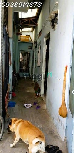 Hình ảnh Bán nhà 144m2 đường đặng văn bi - trường thọ