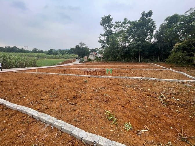 Hình ảnh Đất nền thạch quảng thạch thành thành hoá
