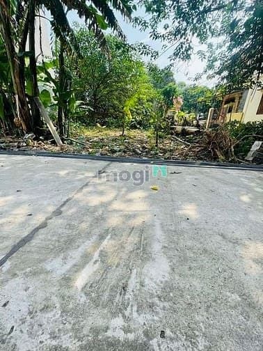 Hình ảnh Đất Gia Lâm 57m2 ô tô chạy quanh đất 2.1 tỷ