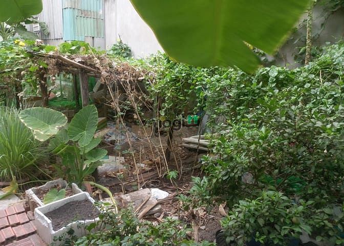 Hình ảnh Đang cần cho thuê lô đất 4x20m hẻm xe hơi Lã Xuân Oai, Q9-TP.Thủ Đức
