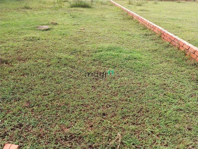 Hình ảnh Cần cho thuê lô đất 7x26m 6tr/th đường 711 (Gần Chung cư Jamila), Q9