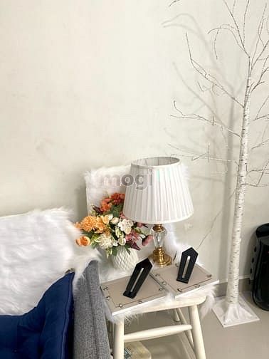 Hình ảnh Cho thuê Trang Chủ MB66.COM / Đăng Ký Tặng 66K Studio 47m2 chung cư Topaz Twins chỉ 7tr