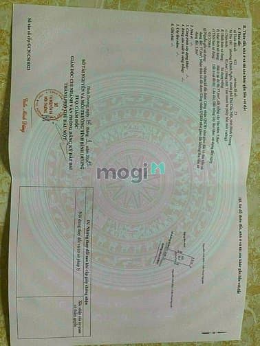 Hình ảnh Cần bán gấp đất Bùi Quốc khánh nhựa thông chỉ 2ti3