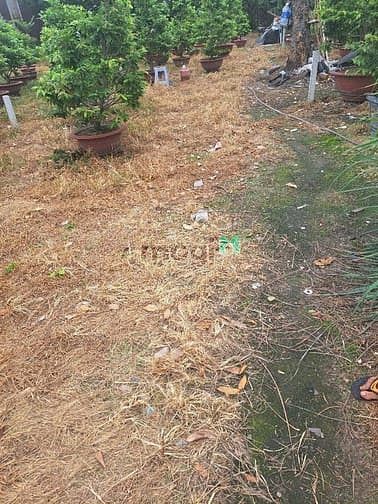 Hình ảnh Bán đất 200m² hẻm 5m Tân Thới Hiệp 21 Quận 12
