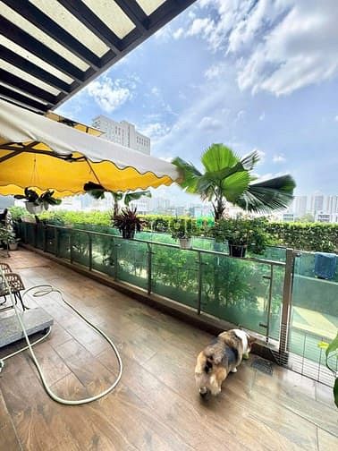 Hình ảnh Cho thuê Trang Chủ MB66.COM / Đăng Ký Tặng 66K tại FELIZ EN VISTA, GIÁ CỰC CHẤT 30 TRIỆU VND