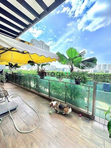 Hình ảnh Cho thuê Trang Chủ MB66.COM / Đăng Ký Tặng 66K tại FELIZ EN VISTA, GIÁ CỰC CHẤT 30 TRIỆU VND