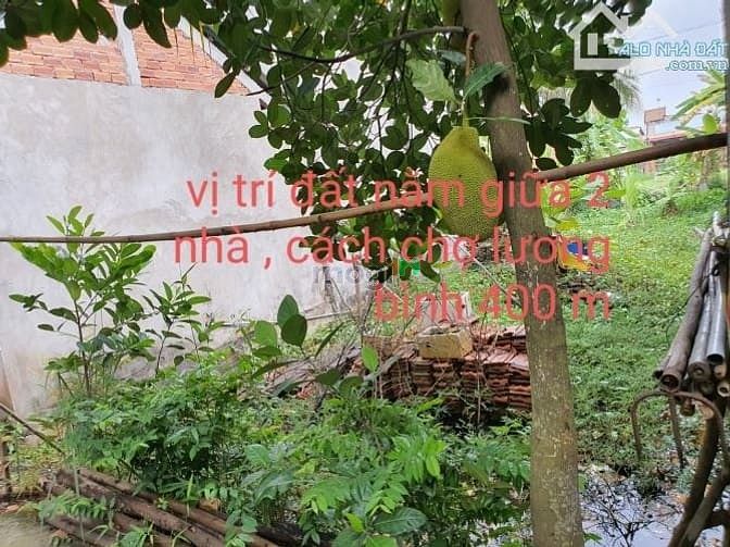 Hình ảnh đất thổ cư gần chợ Lương Bình bến lức long an , sổ hồng riêng