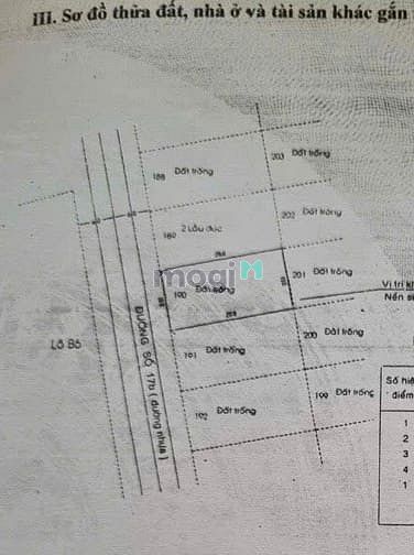 Hình ảnh Bán đất 10x20 Đường thái Thuận -An Phú Q.2 Giá 42 tỷ