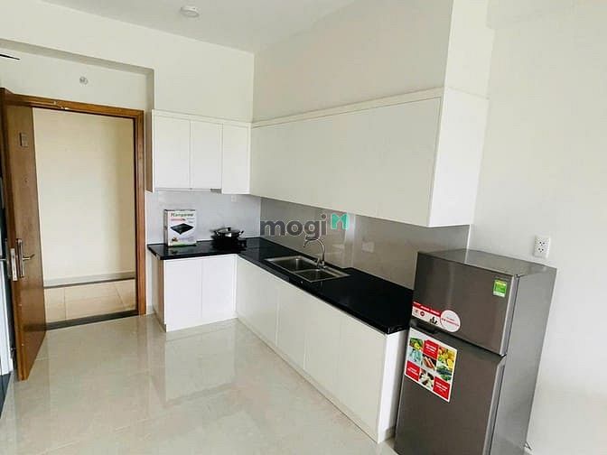 Hình ảnh chung cư Topaz Garden, Trịnh Đình Thảo, TP: 2p ngủ, 2wc 9tr/th 69m2