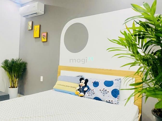 Hình ảnh Cho thuê Trang Chủ MB66.COM / Đăng Ký Tặng 66K 1PN tại Đinh Công Tráng, ngay chợ Tân Định