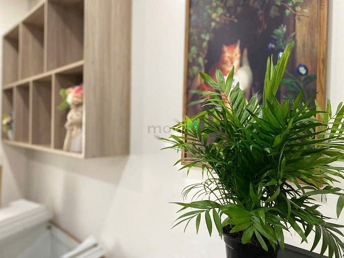 Hình ảnh Cho thuê Trang Chủ MB66.COM / Đăng Ký Tặng 66K 2PN tại Đinh Công Tráng, quận 1, ngay chợ Tân Định